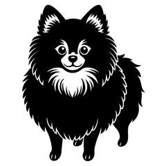 Pomeranian dog Silhouette on white background on Vector and illustration