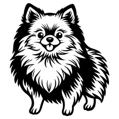 Fototapeta premium Pomeranian dog Silhouette on white background on Vector and illustration