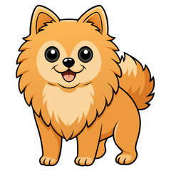 Pomeranian dog on white background