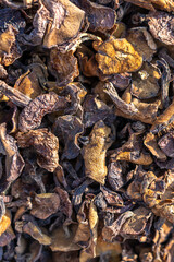 Close-Up of Dried Flowers Showcasing Rich Textures and Earthy Tones