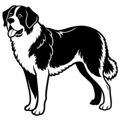 Silhouette Saint Bernard Dog Vector and illustration on white Background