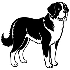 Silhouette Saint Bernard Dog Vector and illustration on white Background