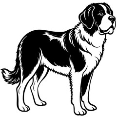 Silhouette Saint Bernard Dog Vector and illustration on white Background