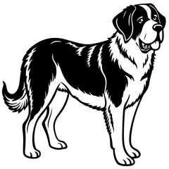 Silhouette Saint Bernard Dog Vector and illustration on white Background