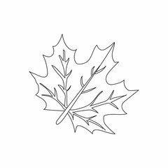maple leaf vector
