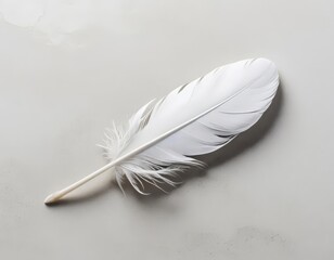 white feather