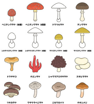 毒キノコのイラストセット Stock Vector | Adobe Stock