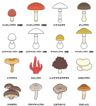 360_F_1145500534_BWXPQMwACoQQw