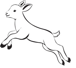 A Lamb vector style with white background.