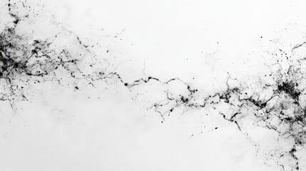 Black and white abstract background, a monochromatic design with intricate patterns subtle textures for modern contemporary visual projects