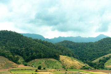 Obraz premium landscape of rolling green hills and valleys under a bright blue sky with scattered white clouds. Landmark hills of Mae La Luang. Mae Hong Son of Thailand.