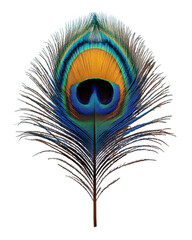 Obraz premium vibrant peacock feather showcasing stunning colors and intricate patterns