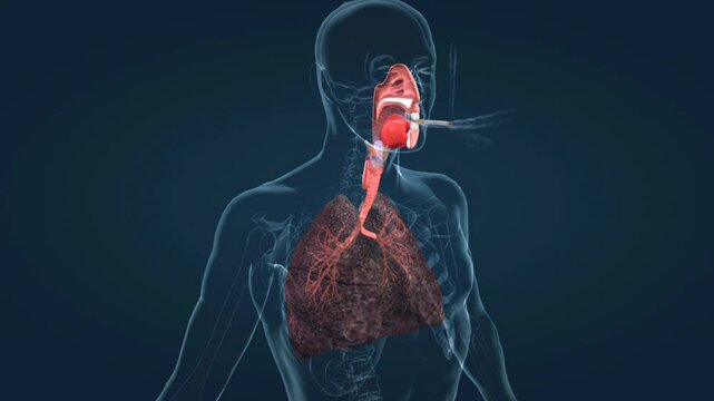 Smoking effects on lungs