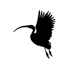 Stork bird silhouette