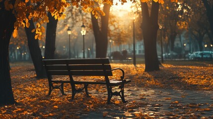 Beautiful autumn scenery in park. Outdoor photography in sunrise light