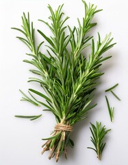 Fototapeta premium Fresh rosemary sprigs tied with twine, vibrant green herb.
