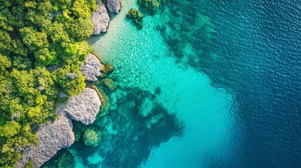 Obraz premium Vibrant Coral Reef and Turquoise Water Aerial View from Above