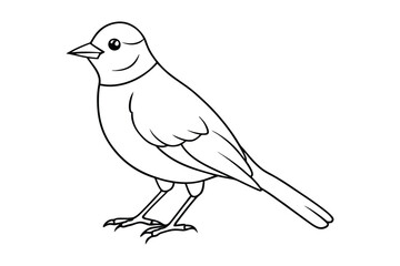 bird line art vector illustration on white background