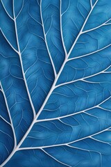 Obraz premium Closeup of blue leaf texture nature background artistic view
