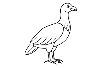 bird line art vector illustration on white background