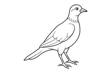 Obraz premium bird line art vector illustration on white background