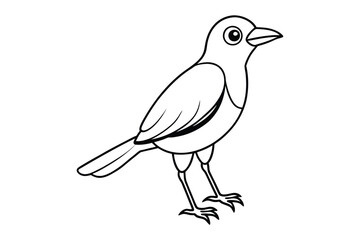 bird line art vector illustration on white background