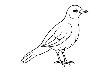 bird line art vector illustration on white background