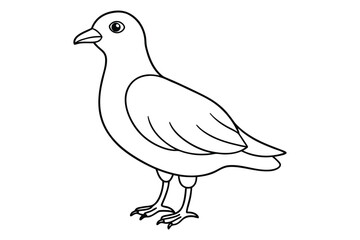 bird line art vector illustration on white background