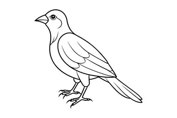 bird line art vector illustration on white background