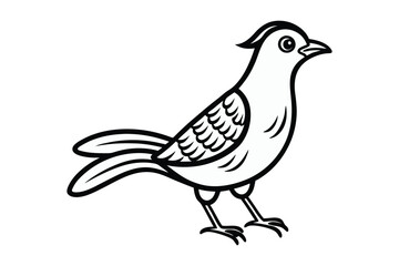 bird line art vector illustration on white background