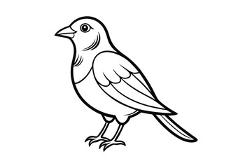 bird line art vector illustration on white background