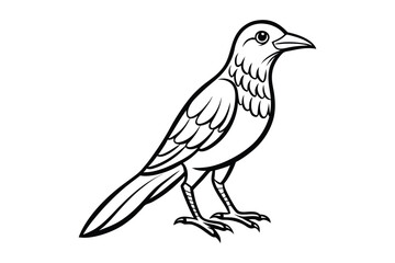 bird line art vector illustration on white background