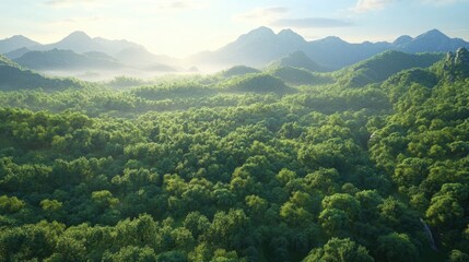 Obraz premium Aerial Perspective of Lush Green 3D Tree Canopy Landscape Embracing Nature's Grandeur