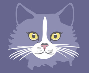 Cat face with beautiful eyes.  Vector illustration 