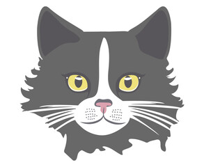 Cat face with beautiful eyes. Vector illustration