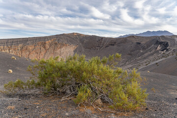 Ubehebe Craters / maar and tuff ring, volcanic. Death Valley National Park, California. Mojave Desert / Basin and Range Province. Larrea tridentata, creosote bush, greasewood, chaparral
