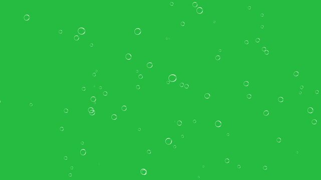 Rising white bubbles on green screen chroma key background	