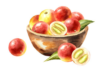 Bowl with Fresh Camu Camu fruits. Watercolor hand painted illustration, isolated on white background