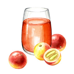 Glass with juice from Camu-camu fruit, Myrciaria dubia berries. Superfood. Watercolor hand drawn illustration, isolated on white background