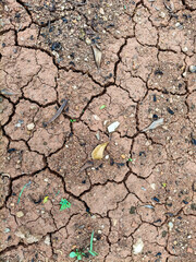 Top view of dry cracked soil 