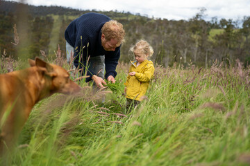 regenerative organic farmer, taking soil samples and looking at plant growth in a farm. practicing...