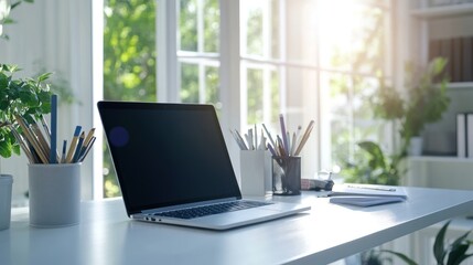 Bright Workspace: Laptop, Plants, and Sunlight