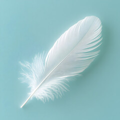 A white feather is on a blue background. The feather is the main focus of the image, and it is delicate and light. The blue background adds a sense of calmness and serenity to the scene