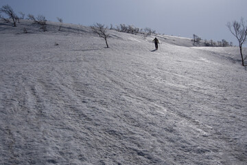 春の雪原