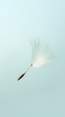 A white flower with a brown stem is floating in the air. The image has a serene and peaceful mood, as the flower appears to be floating effortlessly in the sky