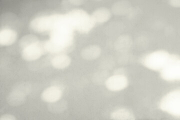 The white wall surface and the shadows of the leaves are blurred.