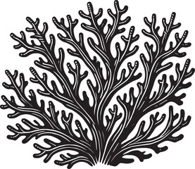 Underwater Sea coral silhouette vector illustration isolated on a white background