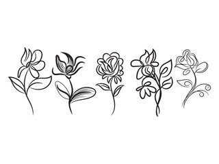 Hand drawn flowers collection