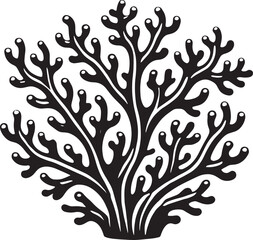 Obraz premium Underwater Sea coral silhouette vector illustration isolated on a white background