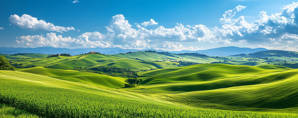 Fototapeta premium Wide green rolling hills and blue sky